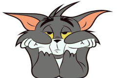 hinh-meo-tom-dep-1