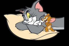 hinh-meo-tom-xinh-1