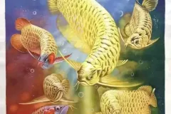 hinh-nen-dong-ca-canh-3