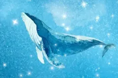 hinh-nen-ca-voi-52hz-cho-dien-thoai-2