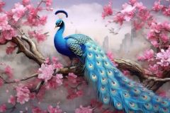 hinh-nen-con-cong-cho-may-tinh-5