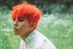 hinh-nen-may-tinh-g-dragon-4