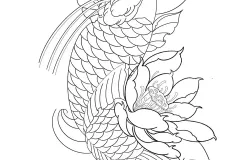 hinh-ve-ca-chep-dep-nhat-1