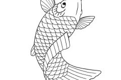 hinh-ve-ca-chep-dep-nhat-3