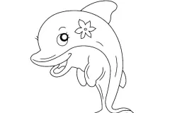hinh-ve-ca-heo-5