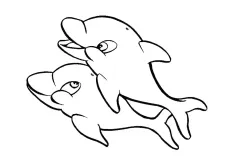 hinh-ve-ca-heo-dep-5
