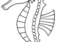 hinh-ve-con-ca-ngua-15