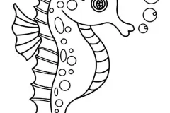 hinh-ve-con-ca-ngua-20