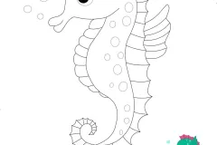 hinh-ve-con-ca-ngua-5