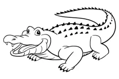 ca-sau-hinh-ve-5