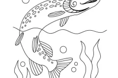 hinh-anh-ve-ca-2