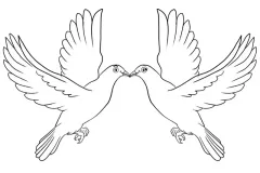 hinh-con-chim-ve-3