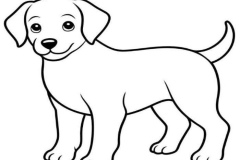 Hình vẽ chú cún con đơn giản dễ vẽ