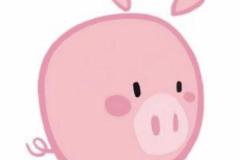 Tranh vẽ con heo chibi cute đơn giản dễ vẽ cho bé yêu