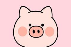 Tranh vẽ con heo chibi cute đơn giản dễ vẽ cho bé yêu