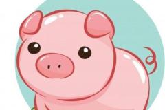 Tranh vẽ con lợn đáng yêu nâng cao hơn cho các bé tập vẽ 