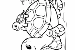 hinh-anh-con-rua-ve-2
