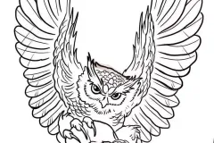 hinh-ve-cu-meo-tattoo-4