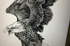 anh-ve-dai-bang-2