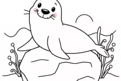 hai-cau-chibi-8