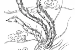 hinh-ve-con-phuong-hoang-2