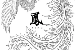 hinh-ve-phuong-hoang-lua-3