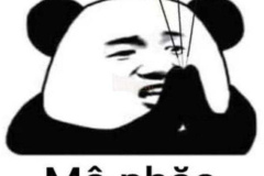 Con gấu trúc meme đáng yêu hài hước
