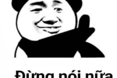 Con gấu trúc meme đáng yêu hài hước