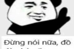 Con gấu trúc meme đáng yêu hài hước