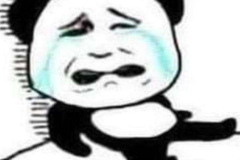 Con gấu trúc meme đáng yêu hài hước