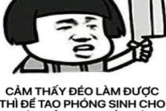 Ảnh gấu trúc cầm dao meme bựa