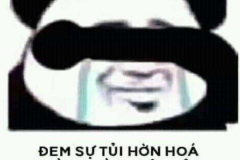 Gấu trúc khóc ảnh hài hước