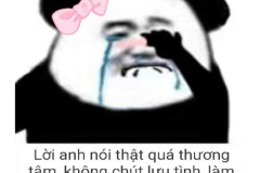 Gấu trúc khóc ảnh hài hước