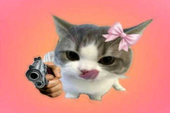 1_meme-meo-cam-sung-1