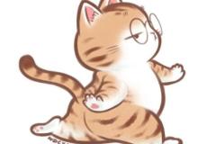 Ảnh mèo anh 34 chibi cute