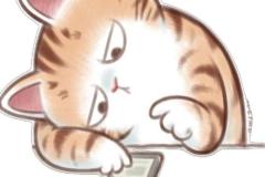 Ảnh mèo mập chibi đáng yêu