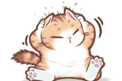 Ảnh mèo mập chibi đáng yêu