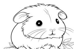 Tranh vẽ con chuột hamster cho bé tô màu