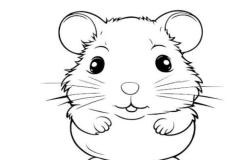Tranh vẽ con chuột hamster cho bé tô màu