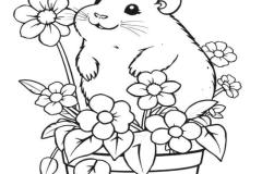 anh-tranh-to-mau-chuot-hamster-dep-1