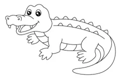 hinh-to-mau-ca-sau-3