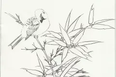 tranh-to-mau-con-chim-2