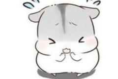 tranh-ve-con-chuot-chibi