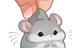 Tranh vẽ chuột hamster chibi ngộ nghĩnh
