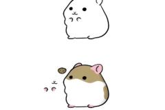 Tranh vẽ chuột hamster chibi ngộ nghĩnh
