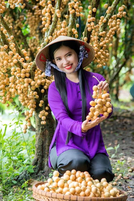 cô gái quê hái quả xinh đẹp