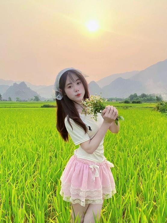 ảnh gái 2k1 trên cánh đồng lúa khi chiều tà