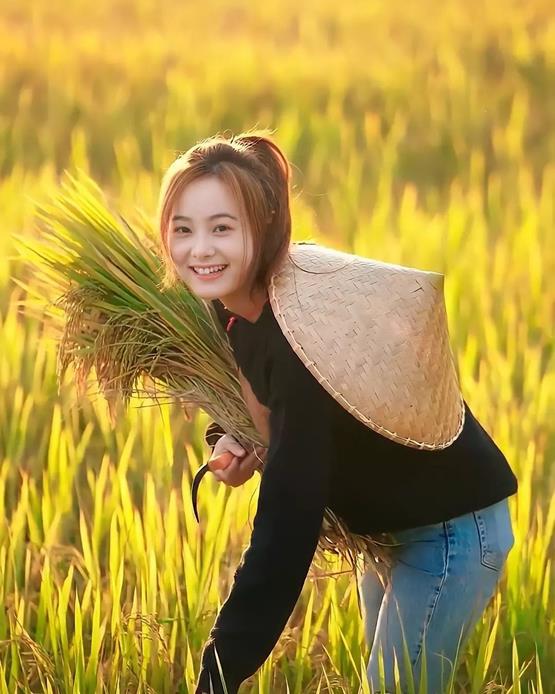 cô gái quê gặt lúa cười tươi