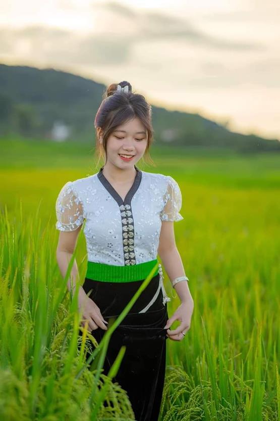gái đẹp dân tộc Thái trên cánh đồng lúa