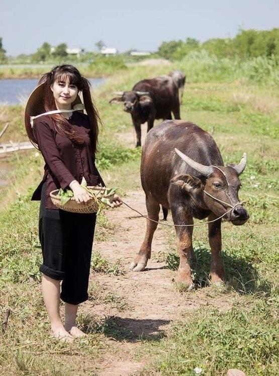 gái quê chăn trâu xinh đẹp
